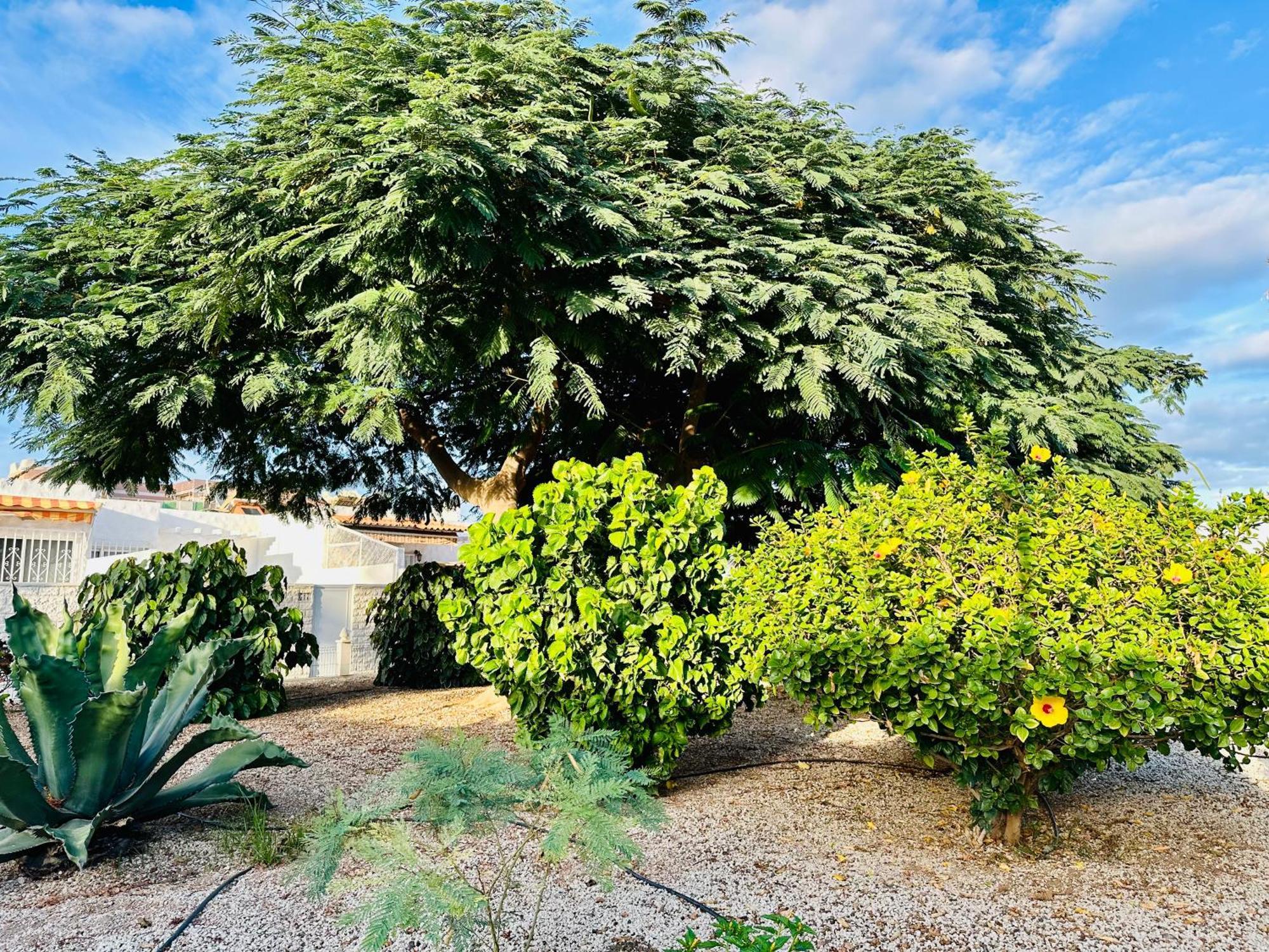 Casa Una Bungalow Delux Arona  Bagian luar foto